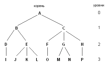 Элементы дерева графа. Дерево (теория графов). Строение графа дерева. Графы и деревья в информатике.